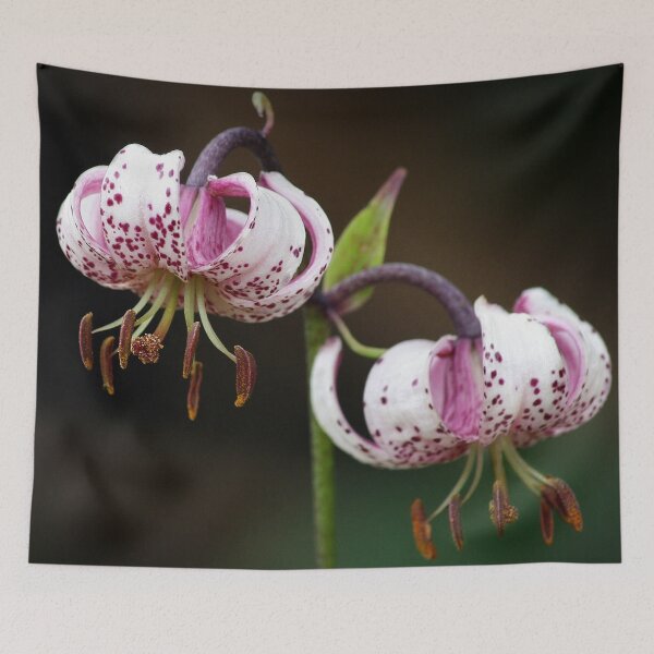 Item preview, Turks Cap Fritillary designed and sold by Murph's Images.