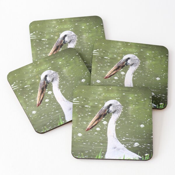 Item preview, Open-billed stork designed and sold by morrisophotography.