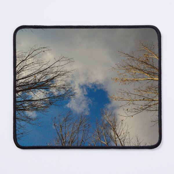 Item preview, Looking Up Trees Wall Art – Minimal Sky Nature Print designed and sold by onubi.