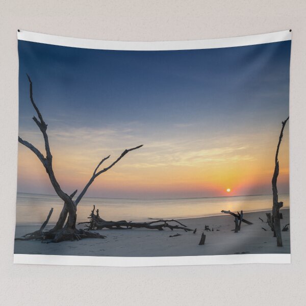 Item preview, Folly Beach 26/1 designed and sold by DiFigianoPhoto.