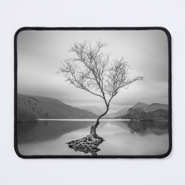 Item preview, The Lone Tree Llanberis - "Llyn Padarn" in North Wales designed and sold by SadSacDesigns.