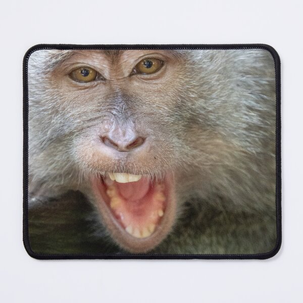 Item preview, Aint No Way Monkey Meme Funny Shocked Reaction Sticker Disbelief Animal Humor Gift designed and sold by WildFrameNature.