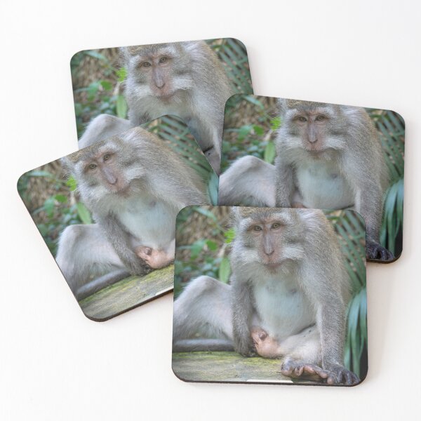 Item preview,  Caught Monkey Meme Funny Guilty Animal Sticker Caught In The Act Humor Relatable Gift designed and sold by WildFrameNature.
