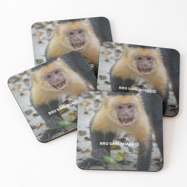 Item preview, Bro Said Share Monkey Meme Funny Food Sharing Sticker Skull Humor Relatable Gift designed and sold by WildFrameNature.