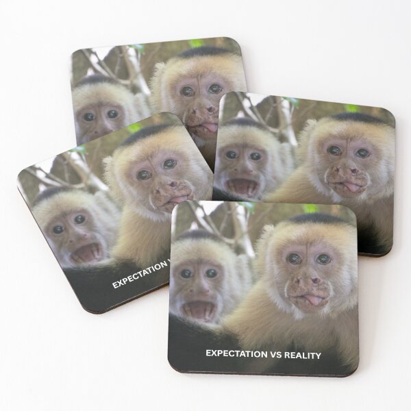 Item preview, Expectation Vs Reality Monkey Meme Funny Relatable Two Monkeys Sticker Humor Gift designed and sold by WildFrameNature.