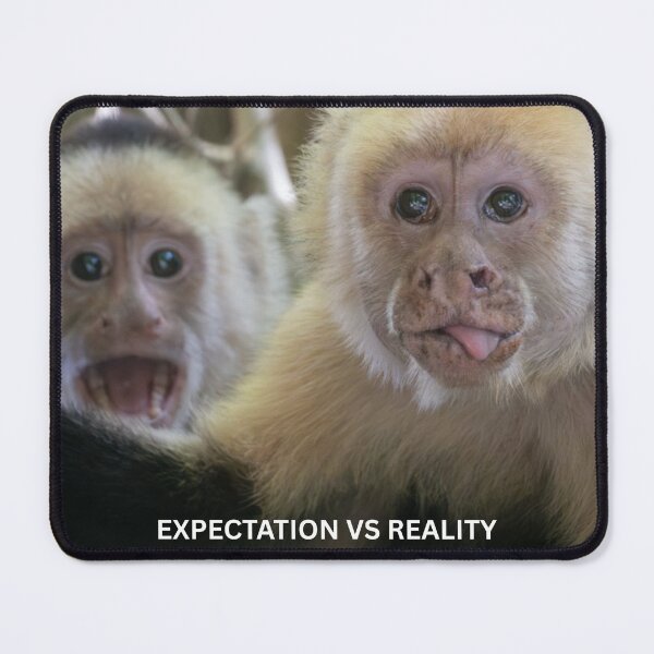 Item preview, Expectation Vs Reality Monkey Meme Funny Relatable Two Monkeys Sticker Humor Gift designed and sold by WildFrameNature.