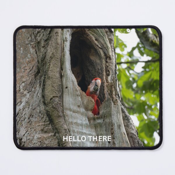 Item preview, Hello There Parrot Meme Funny Bird Sticker Scarlet Macaw Tree Hole Humor Gift designed and sold by WildFrameNature.