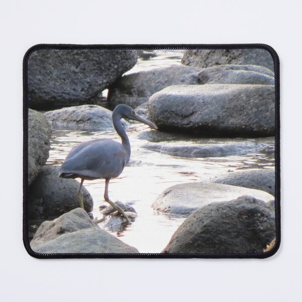 Item preview, Pacific Reef Heron designed and sold by morrisophotography.