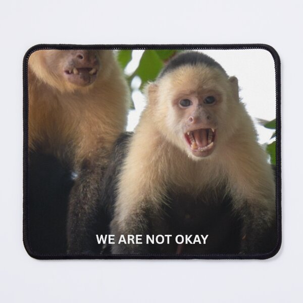 Item preview, We Are Not Okay Monkey Meme Funny Chaotic Duo Sticker Relatable Friendship Humor Gift designed and sold by WildFrameNature.