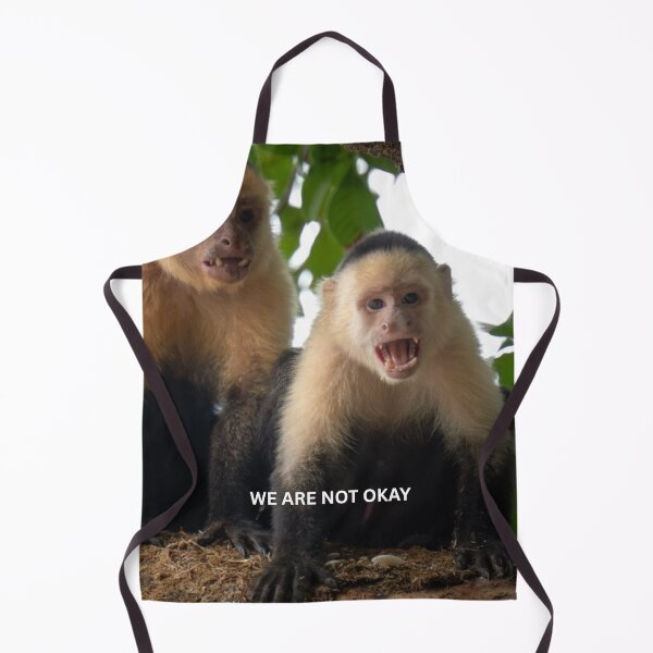 Item preview, We Are Not Okay Monkey Meme Funny Chaotic Duo Sticker Relatable Friendship Humor Gift designed and sold by WildFrameNature.
