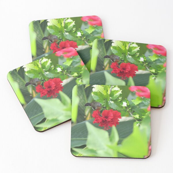 Item preview, Hummingbird designed and sold by morrisophotography.