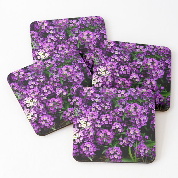 Item preview, Purple Alyssum Flowers Background – Floral Texture Aesthetic Nature Wall Art designed and sold by onubi.
