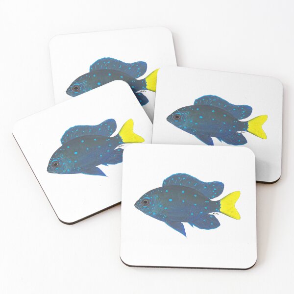 Item preview, Yellowtail Damselfish designed and sold by LeakyCanoeArt.