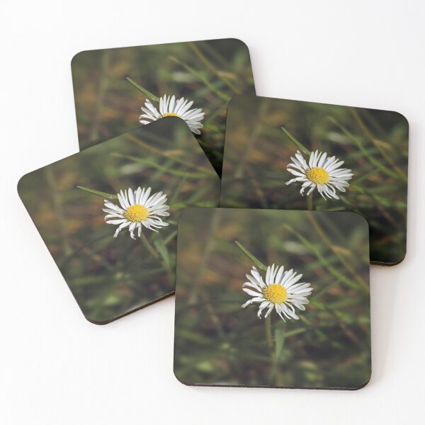 Item preview, Daisy designed and sold by Murph's Images.