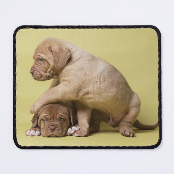 Item preview, Dogue De Bordeaux Puppy designed and sold by SadSacDesigns.