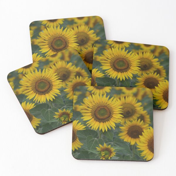 Aperçu de l'œuvre Sunflower Field Close Up – Bright Yellow Flowers Nature Aesthetic Wall Art créée et vendue par onubi.