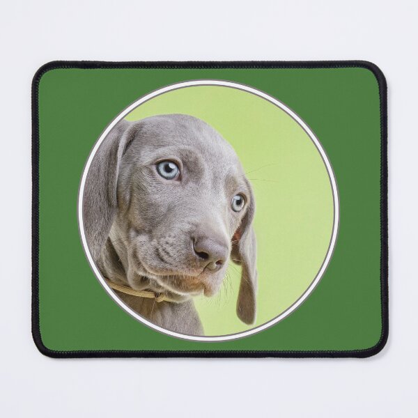 Item preview, Sadsac Designs - Weimaraner Puppy designed and sold by SadSacDesigns.