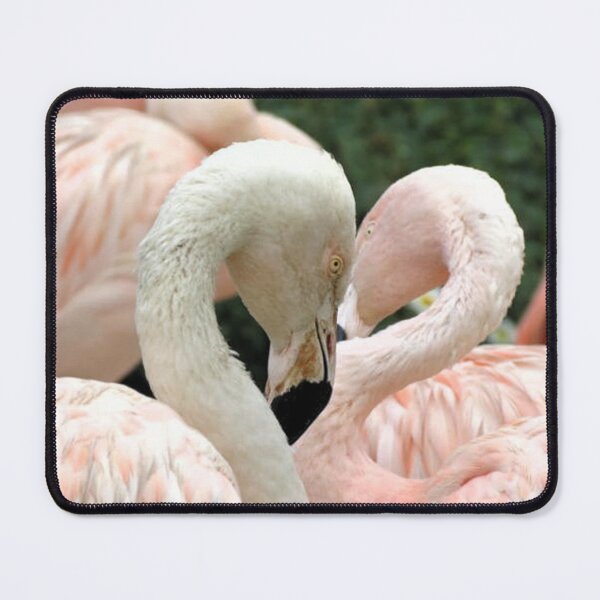 Item preview, Pink Flamingos designed and sold by morrisophotography.