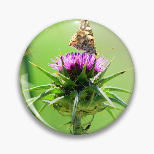 Artikelvorschau, Butterfly on Thistle Flower – Macro Nature Photography Aesthetic Green Background Wall Art entworfen und verkauft von onubi.