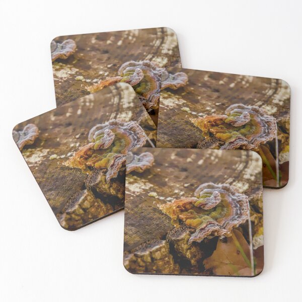 Item preview, Turkey Tail Fungus designed and sold by ShotsbyDesiree.