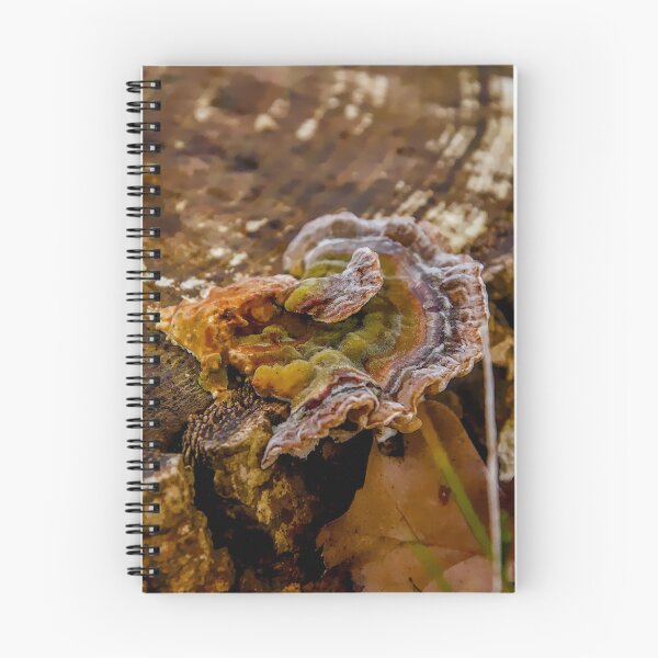 Item preview, Turkey Tail Fungus designed and sold by ShotsbyDesiree.