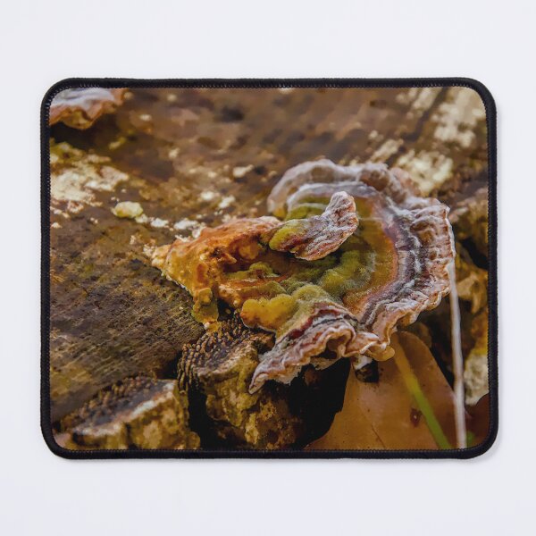 Item preview, Turkey Tail Fungus designed and sold by ShotsbyDesiree.