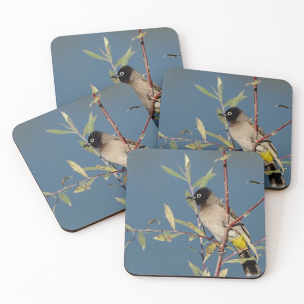 Item preview, White Spectacled Bulbul on Branch – Wildlife Bird Photography Nature Aesthetic Wall Art designed and sold by onubi.