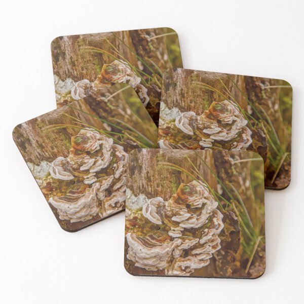 Item preview, Wild Turkey Tail Fungi designed and sold by ShotsbyDesiree.