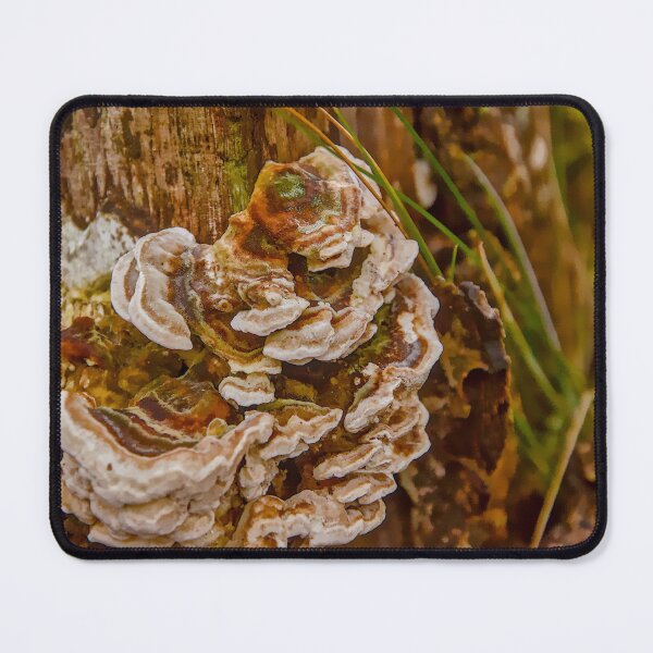 Item preview, Wild Turkey Tail Fungi designed and sold by ShotsbyDesiree.