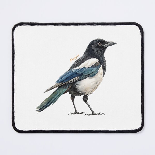 Item preview, Magpie bird, Garden Bird designed and sold by iclipart.