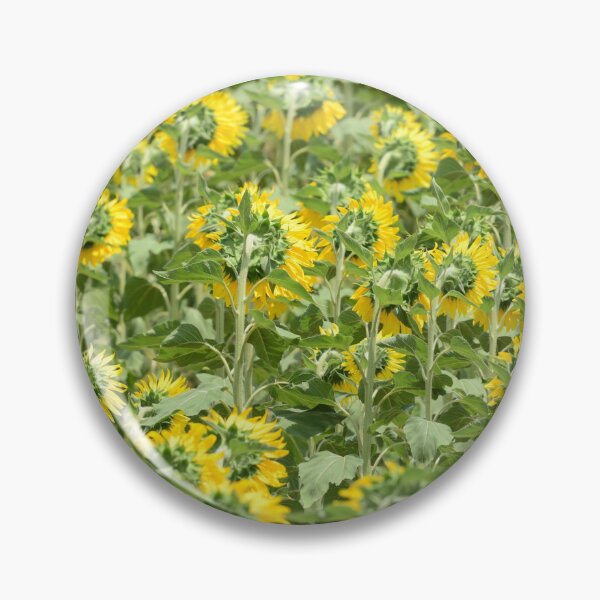 Artikelvorschau, Sunflower Field Pattern – Yellow Floral Background Nature Aesthetic Wall Art entworfen und verkauft von onubi.