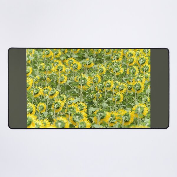 Artikelvorschau, Sunflower Field Pattern – Yellow Floral Background Nature Aesthetic Wall Art entworfen und verkauft von onubi.