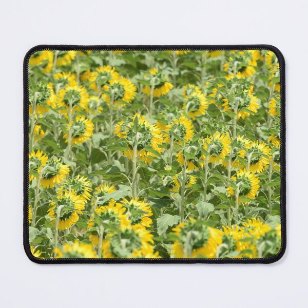 Item preview, Sunflower Field Pattern – Yellow Floral Background Nature Aesthetic Wall Art designed and sold by onubi.