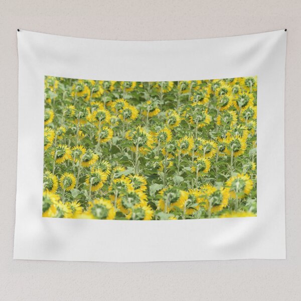 Artikelvorschau, Sunflower Field Pattern – Yellow Floral Background Nature Aesthetic Wall Art entworfen und verkauft von onubi.