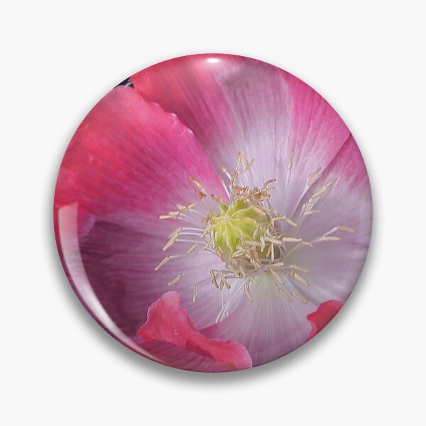 Item preview, Amazing Poppy designed and sold by Murph's Images.