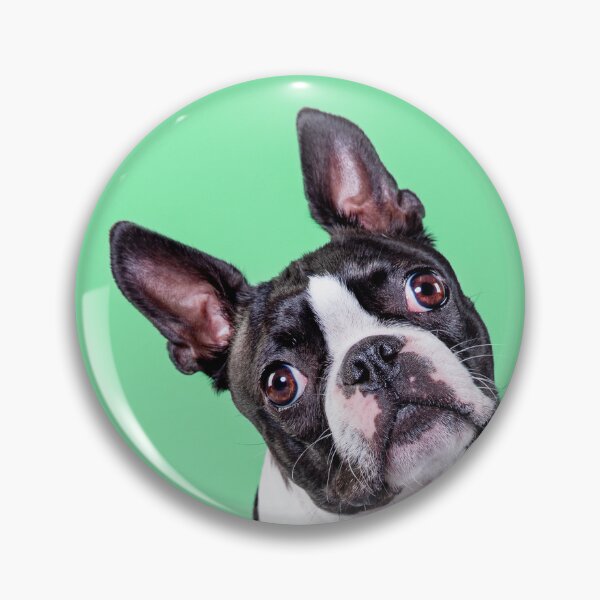 Item preview, Sadsac Designs - Boston Terrier  designed and sold by SadSacDesigns.