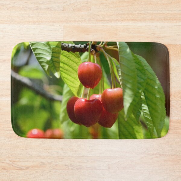 Artikelvorschau, Fresh Red Cherries on Tree Branch Vibrant Summer Fruit Nature Aesthetic entworfen und verkauft von onubi.