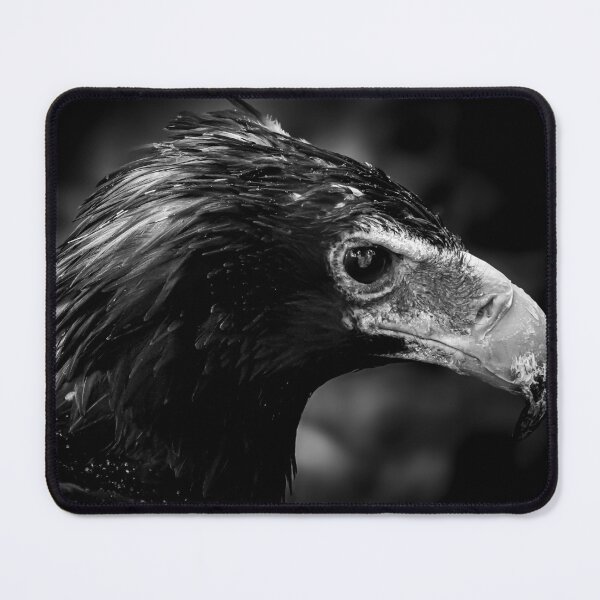 Item preview, Wedge-tailed Eagle designed and sold by MacLittle.