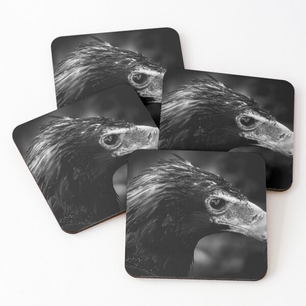Item preview, Wedge-tailed Eagle designed and sold by MacLittle.
