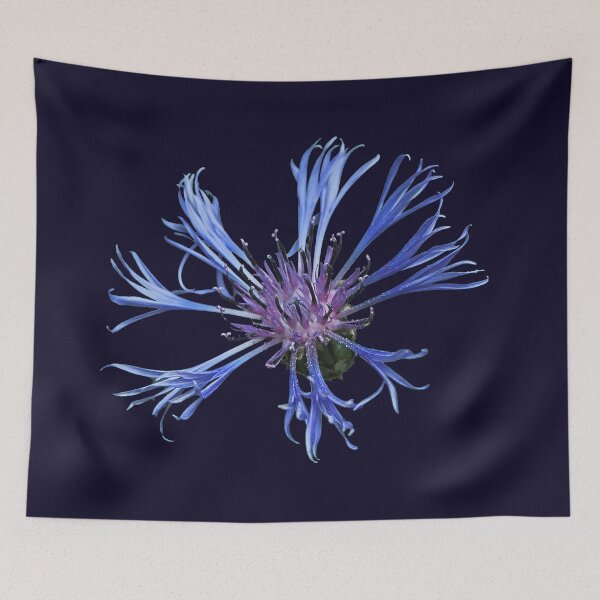 Item preview, Cornflower designed and sold by Murph's Images.
