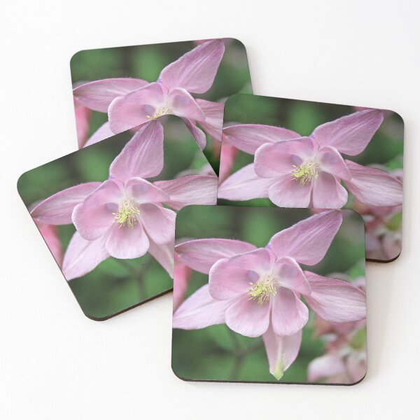Item preview, Powder Pink designed and sold by Murph's Images.