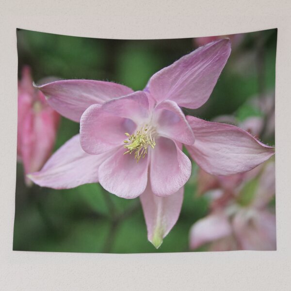 Item preview, Powder Pink designed and sold by Murph's Images.
