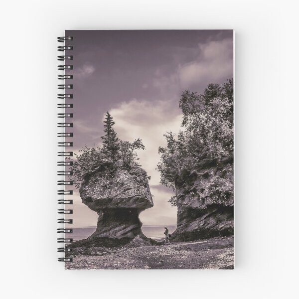 Item preview, Hopewell Rocks designed and sold by kenmo.