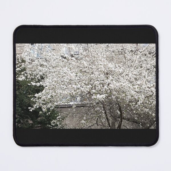 Item preview, apple blossom, spring, nature designed and sold by colorgallery11.