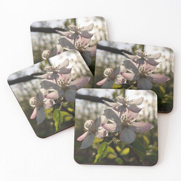 Item preview, Sunlit Apple Blossoms in French Orchard designed and sold by Kainicram.