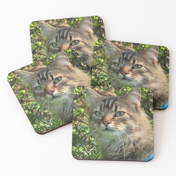 Item preview, fluffy kitty designed and sold by Shopping Alley.