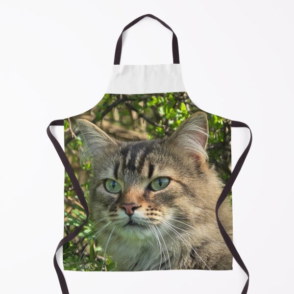 Item preview, fluffy kitty designed and sold by Shopping Alley.