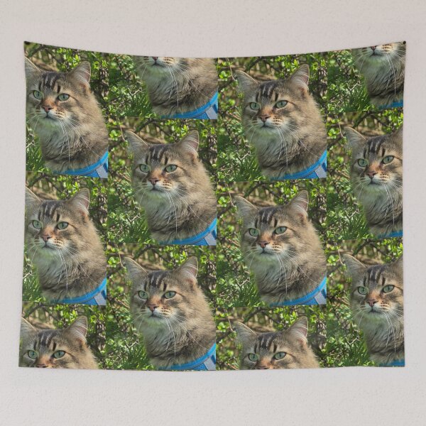 Item preview, fluffy kitty designed and sold by Shopping Alley.