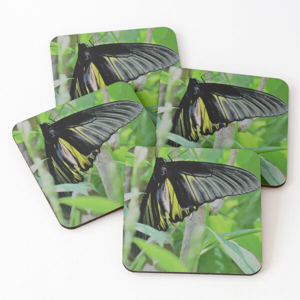 Item preview, Love Butterflies designed and sold by morrisophotography.
