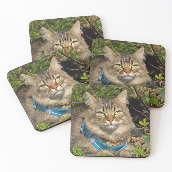 Item preview, fluffy kitty designed and sold by Shopping Alley.